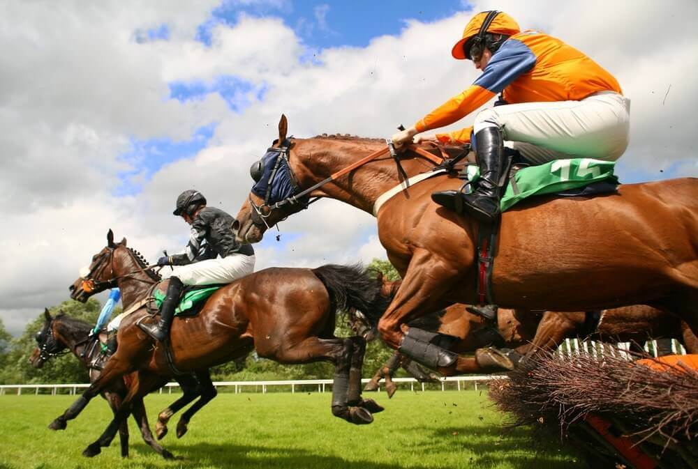 apostas desportivas - Como apostar em corridas de cavalos