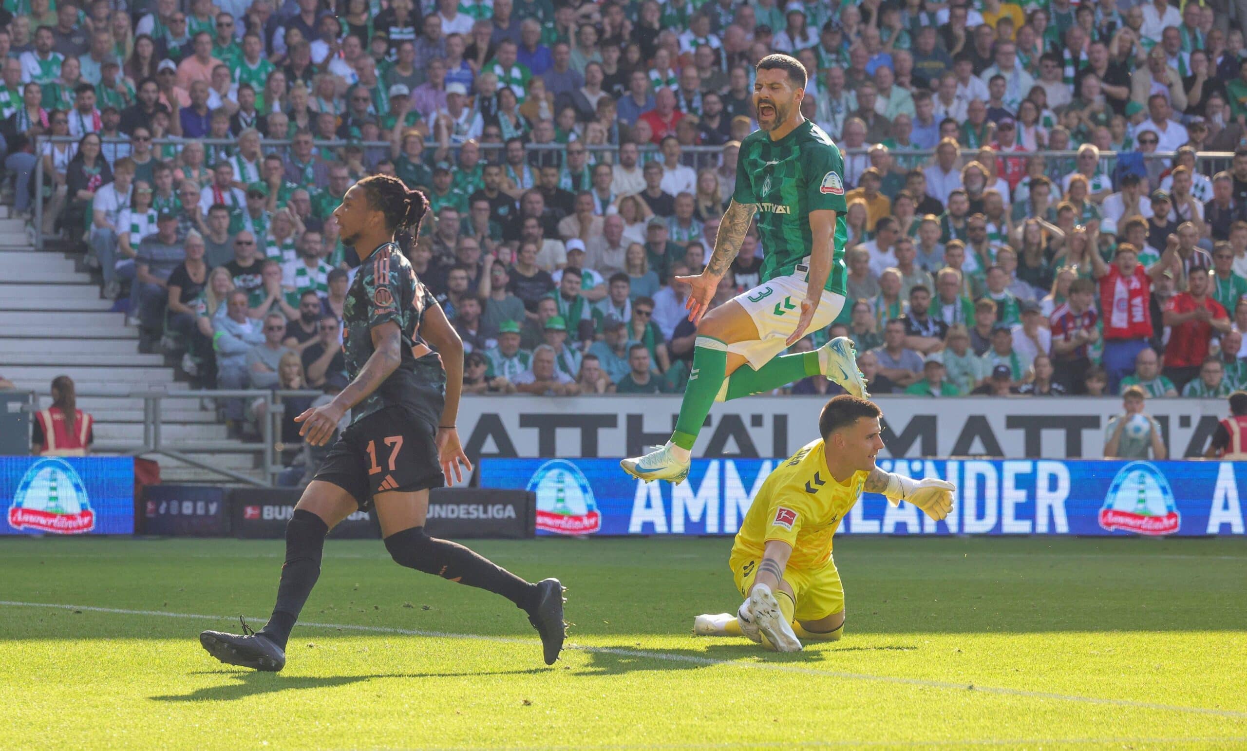 - Prognóstico: Hoffenheim vs Werder Bremen - Bundesliga | 29/09/2024